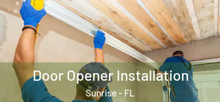  Door Opener Installation Sunrise - FL
