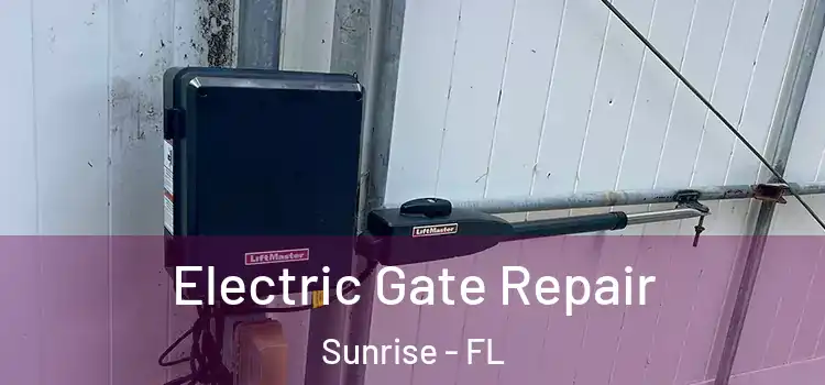 Electric Gate Repair Sunrise - FL