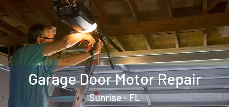  Garage Door Motor Repair Sunrise - FL