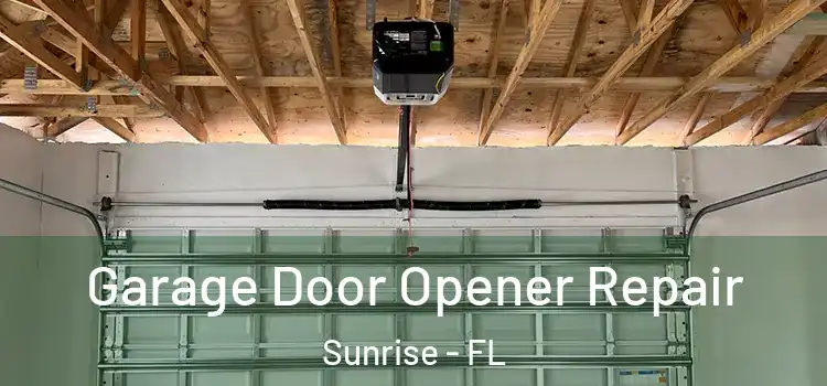  Garage Door Opener Repair Sunrise - FL