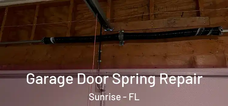  Garage Door Spring Repair Sunrise - FL