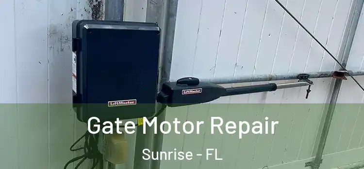Gate Motor Repair Sunrise - FL