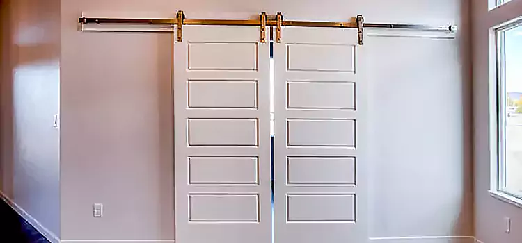 Glass Barn Door with Installation Hardware Kit Sunrise